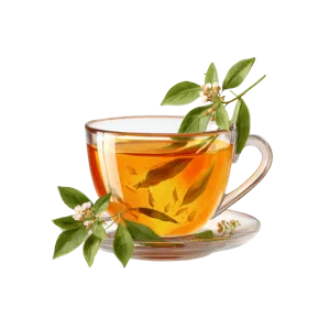 Lemon balm herbal calm